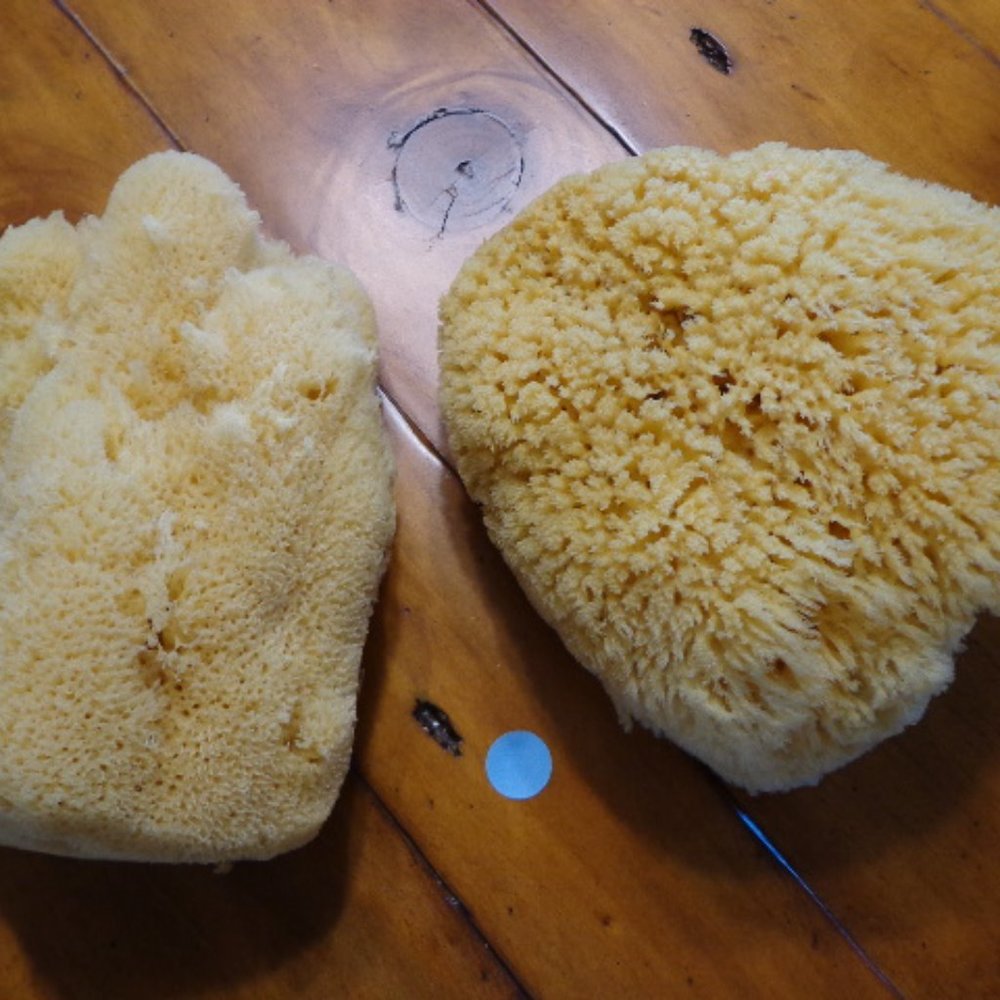 Lot of 2 New! Authentic Natural Select Sponges - Picture 7 of 8